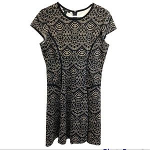 Alfani Lace look Dress  Size 12 Fit and Flare